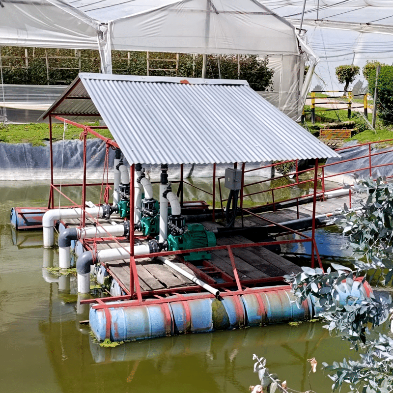 Floating platform with green pumps and white PVC pipes under a corrugated metal roof on a pond.