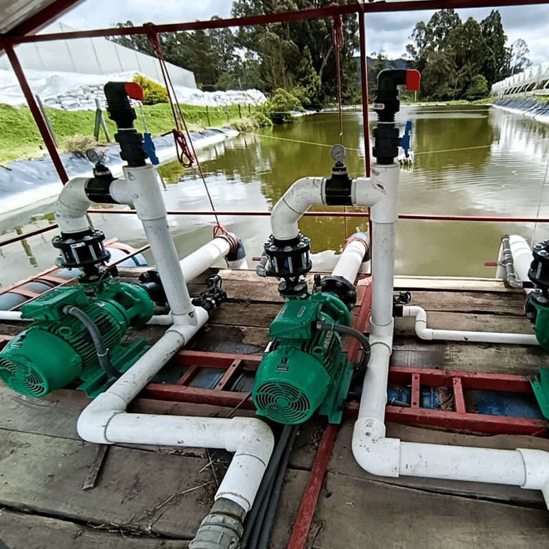 Industrial pump system with green motors and white PVC piping on a wooden platform beside a water reservoir.